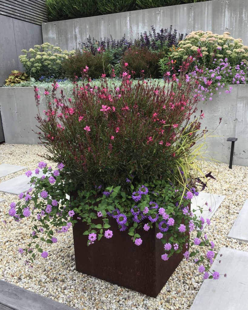 rust metal container planting